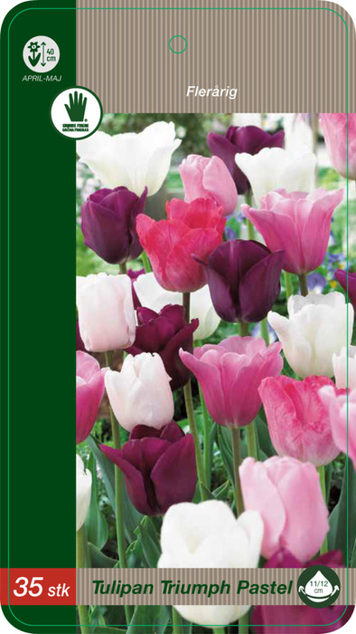 Grønne Fingre® tulipanløg 'Triumph Pastel' 35 stk.